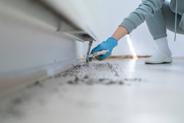  Smithville, TX Pest Control Pros
